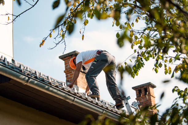 Quick and Trustworthy Emergency Roof Repair Services in Rocky Point, WA
